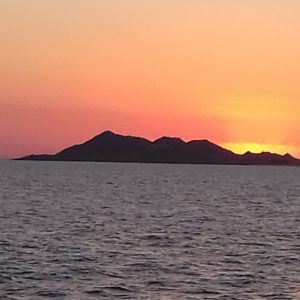 Bird Island Trips
