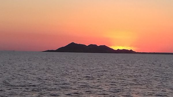 Bird Island Trips