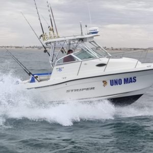 Uno Más - 4 hours - 12 miles